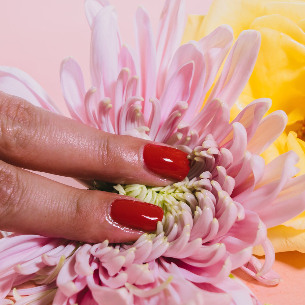 Zwei Finger mit roten Fingernägeln auf rosafarbenen Blüten auf rosa Hintergrund